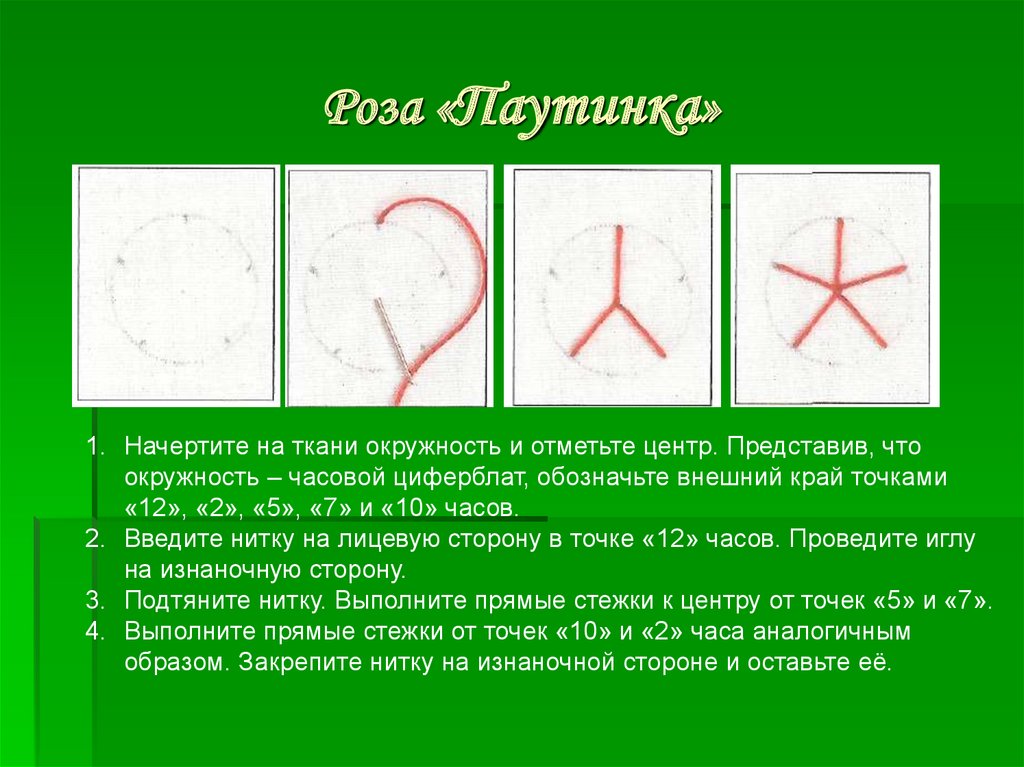 Роза «Паутинка»