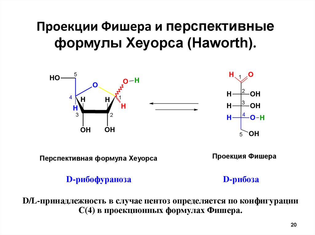 Рибоза в проекции Фишера. Формулы Фишера и Хеуорса. Проекция Фишера и Хеуорса. Моносахариды в проекции Фишера.