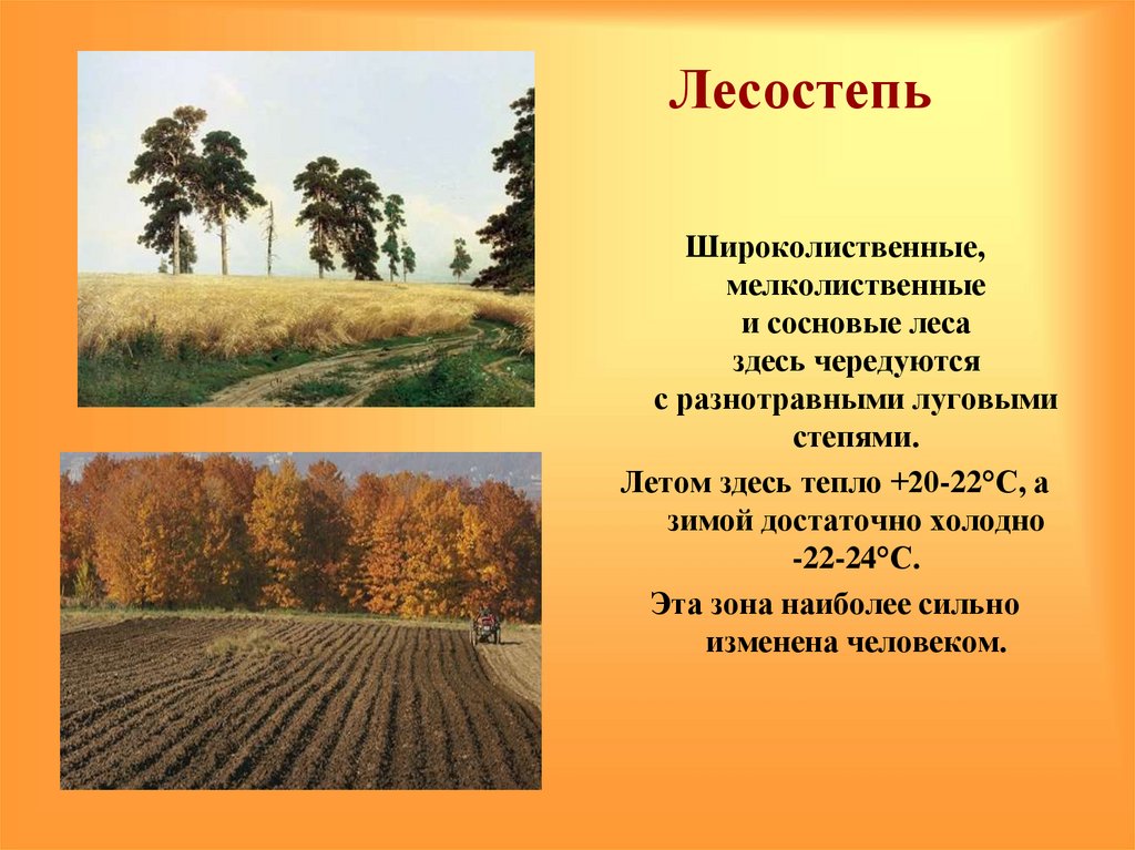 Рисунок лесостепи 4 класс