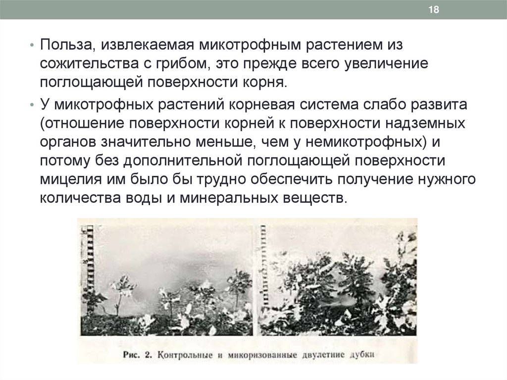 Поражающие факторы наводнения. Наводнение это ОБЖ. Освобождение Крыма от немецко-фашистских захватчиков.