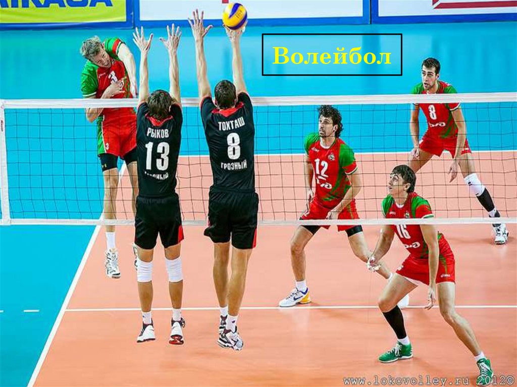 Basketball and volleyball. Волейбол. Игра в волейбол. Спорт волейбол. Волейбол картинки.