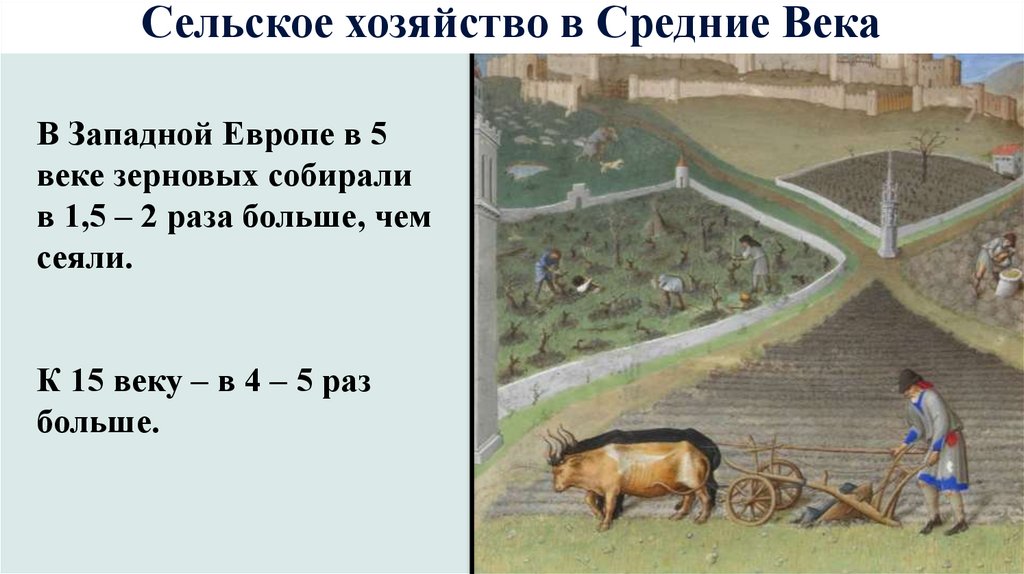 Наследие средних веков 6 класс. Наследие средних веков в истории человечества. Виды земледелия в средневековье. Земледелие в Западной Европе. Крупное земледелие средневековье.