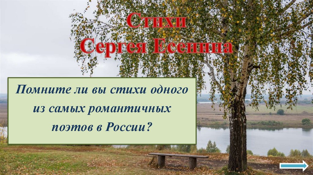 Стихи Сергея Есенина