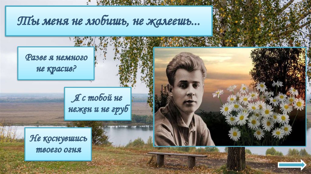 Ты меня не любишь, не жалеешь...