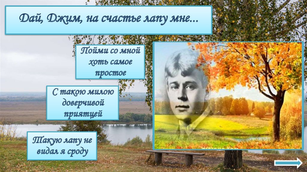 Дай, Джим, на счастье лапу мне...