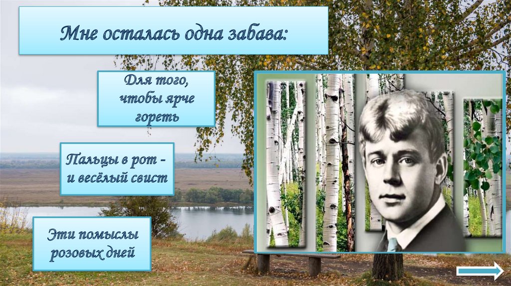Мне осталась одна забава:
