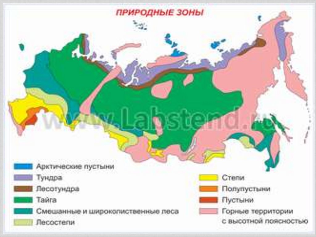 Территория окружающий. Карта природных зон 4 класс окружающий мир с названиями. Окружающий мир 4 класс школа России природные зоны карта-. Окружающий мир 4 класс зоны природные зоны. Карта природныхзор России ВПР 4 класс.