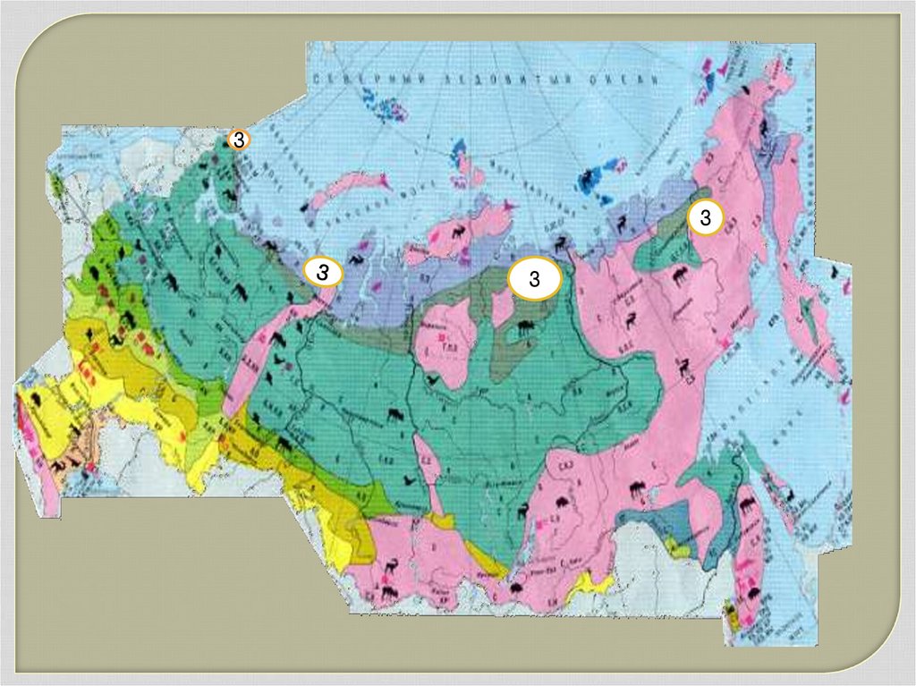 Карта природных зон тундра