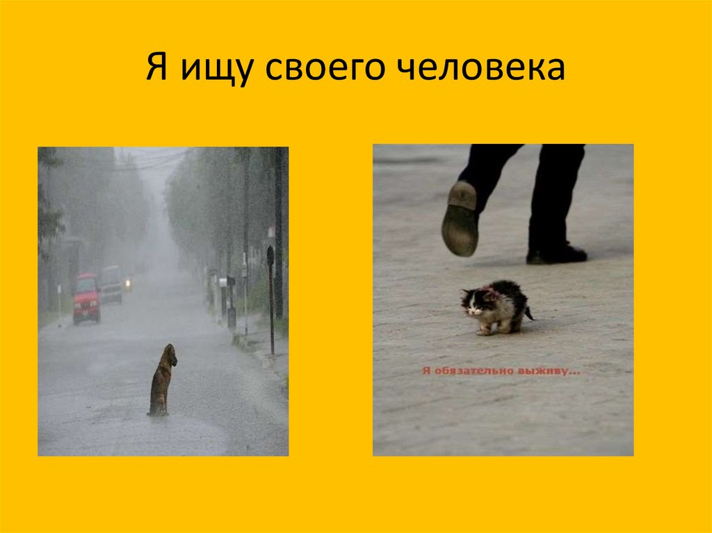 Я ищу своего человека