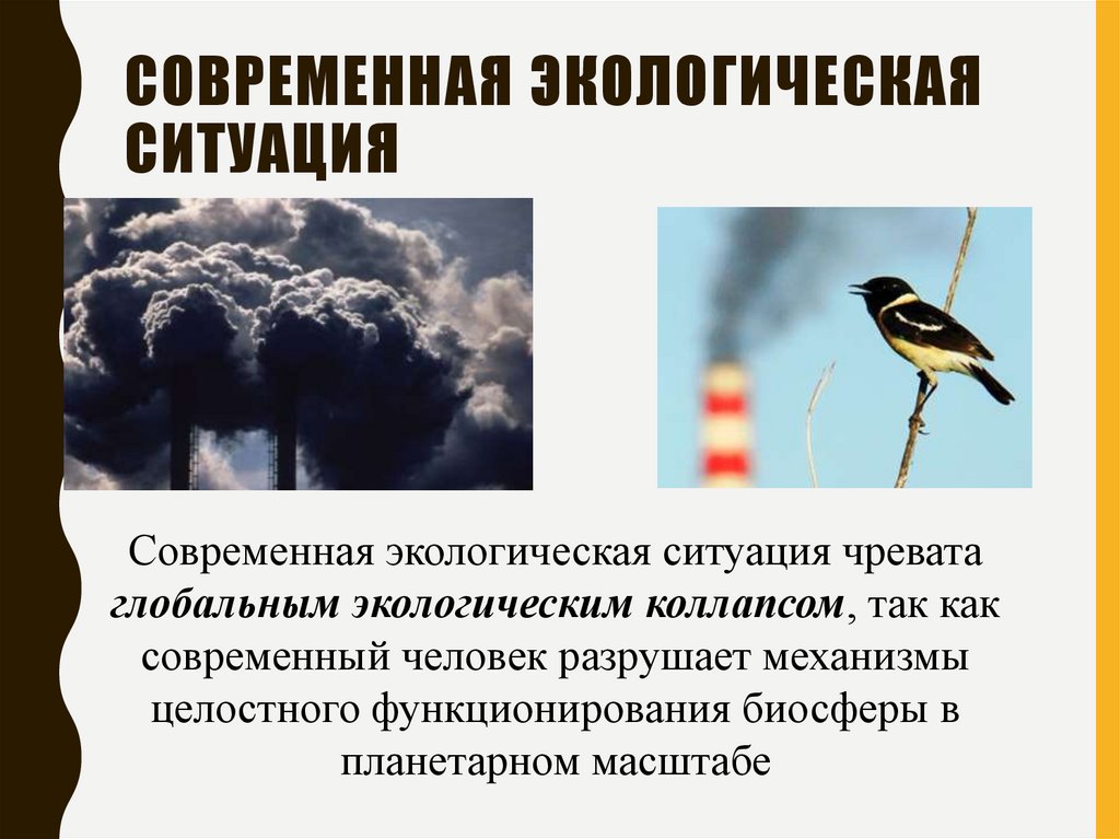 Потенциальные экологические опасности. Буклет по экологическим катастрофам и экологических кризисов.