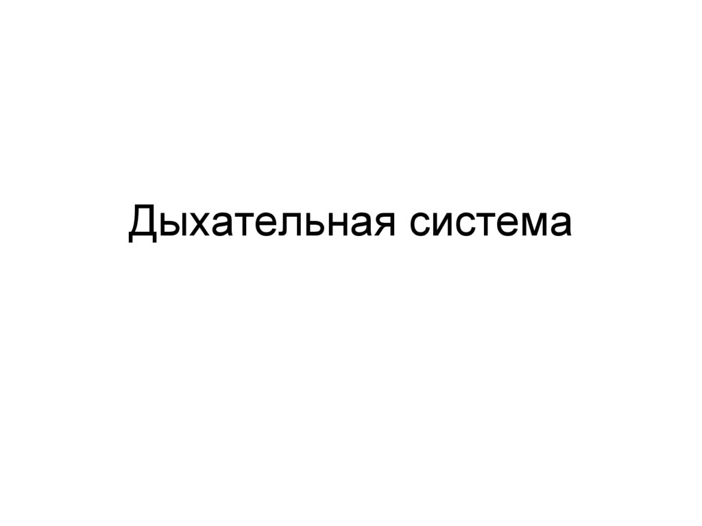 Дыхательная система - презентация онлайн