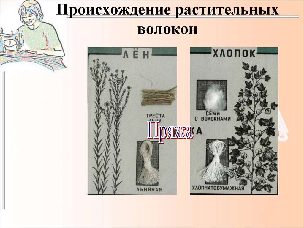 Происхождение растительных волокон