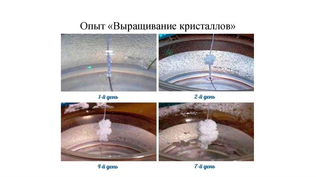 Опыт «Выращивание кристаллов»