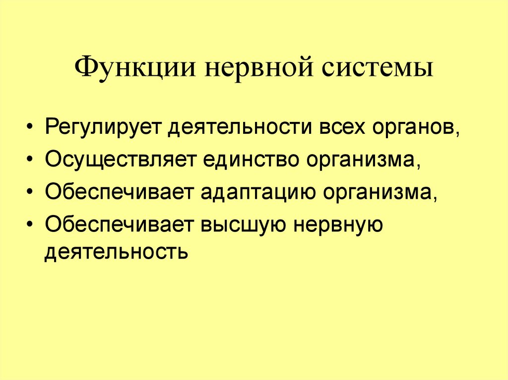 Функции нервной системы