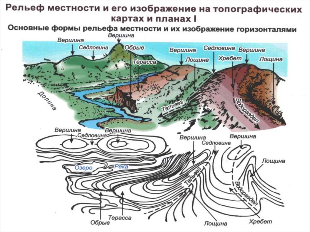 Состав чертежей земной поверхности