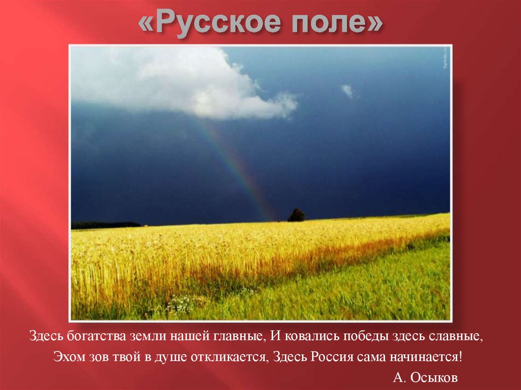 2 3 поля. Русское поле текст. Поле русское поле текст. Сообщение о русском поле. Рассказ о русском поле.