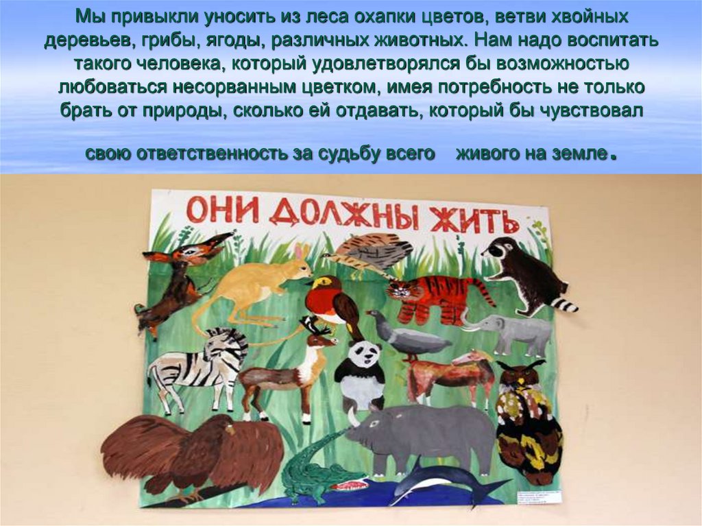 Мы привыкли уносить из леса охапки цветов, ветви хвойных деревьев, грибы, ягоды, различных животных. Нам надо воспитать такого
