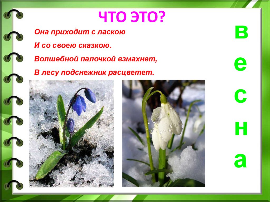 Информация про весну. Весенние темы для проекта.