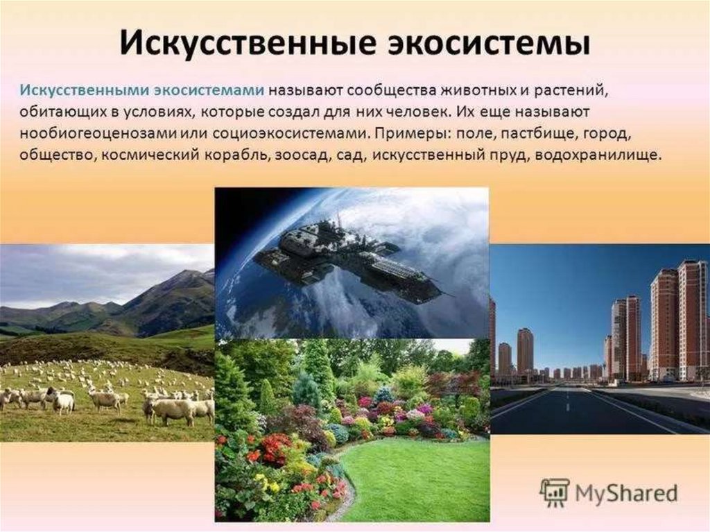 Неустойчивое растительное сообщество созданное человеком. Искусственное эко. Искусственные экосистемы. Искусттвннные экосистема. Искусственные природные сообщества.