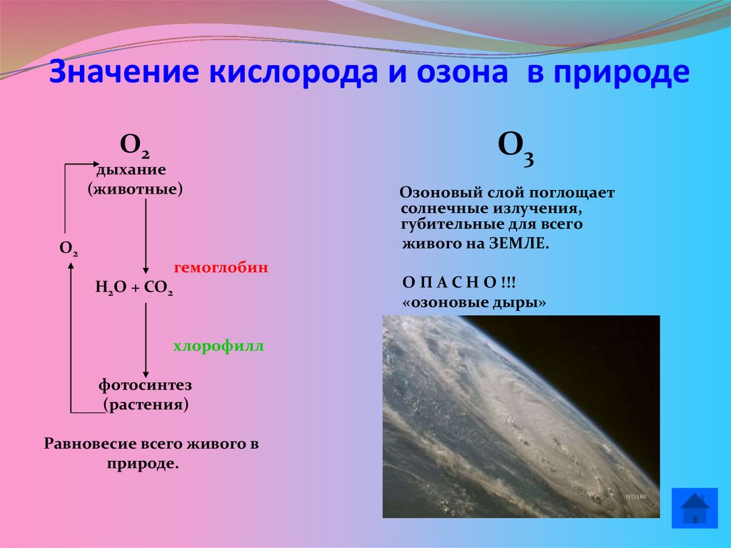 Значение кислорода и озона в природе