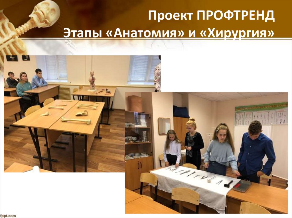 Проект ПРОФТРЕНД Этапы «Анатомия» и «Хирургия»