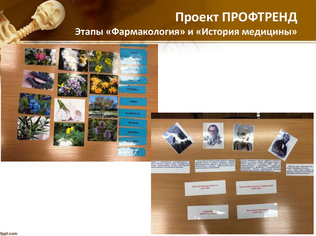 Проект ПРОФТРЕНД Этапы «Фармакология» и «История медицины»