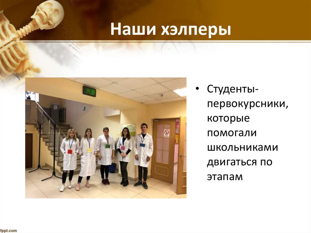 Наши хэлперы