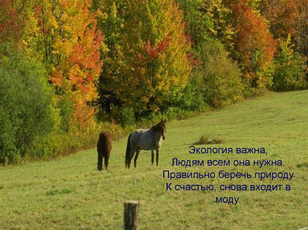 Экология важна, людям всем она нужна. Правильно беречь природу к счастью, снова входит в моду.