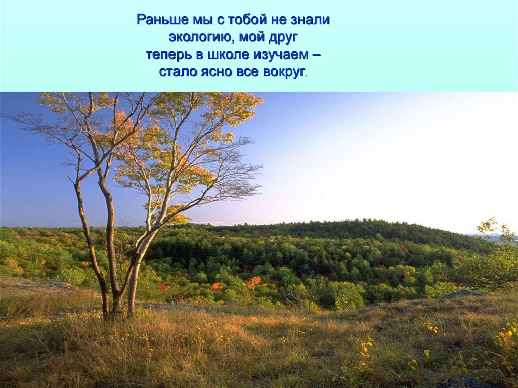 Раньше мы с тобой не знали экологию, мой друг теперь в школе изучаем – стало ясно все вокруг.