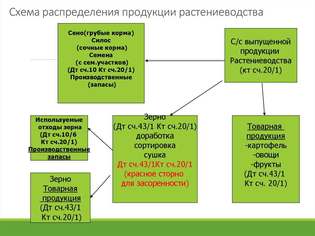 Презентация на тему учет. Схема режимы хранения растениеводческой продукции. Схема способы и режимы хранения растениеводческой продукции. Схема как распределялся труд между Мастеров.