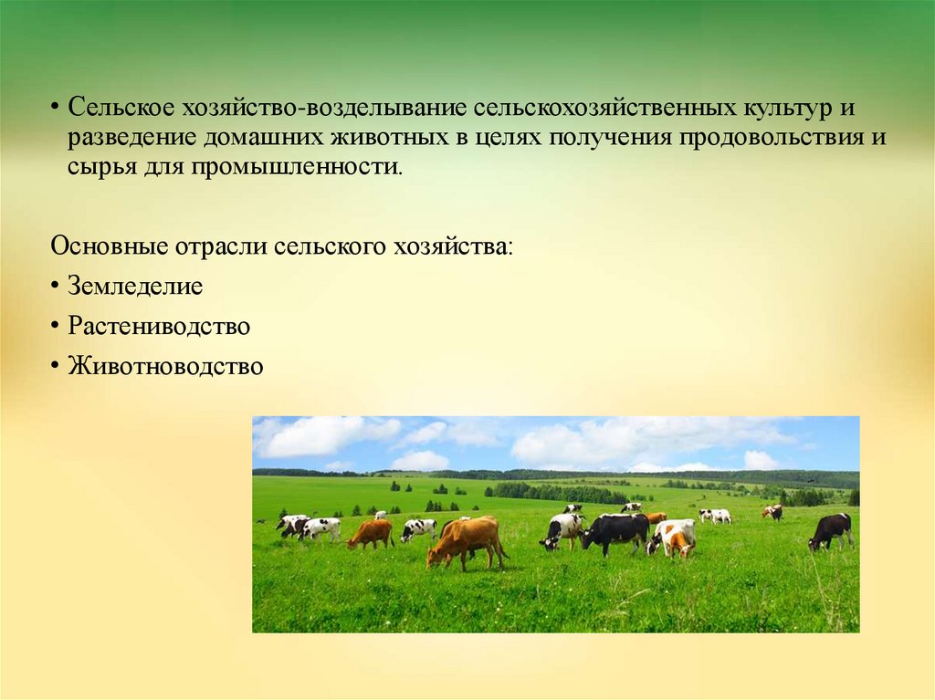 Презентация на тему сельское хозяйство. Отрасли сельскохозяйственного производства. Отрасли земледелия и животноводства. Понятие сельского хозяйства. Технологии сельскохозяйственного производства и земледелия.