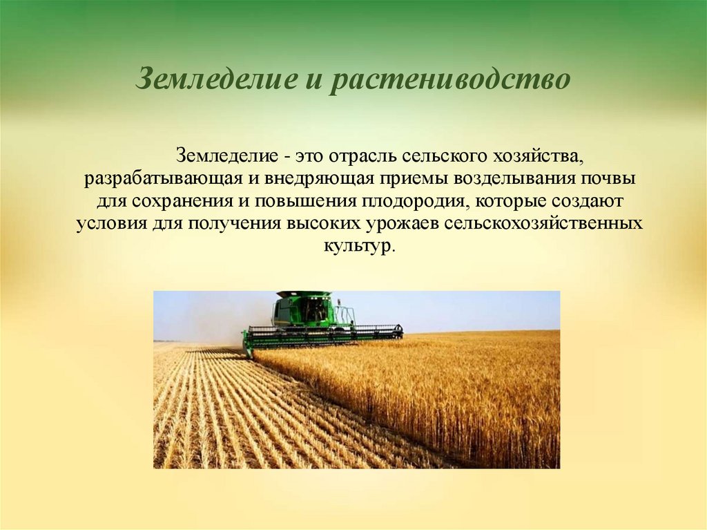Земледелие это. Технологии сельскохозяйственного производства и земледелия. Презентация на тему сельское хозяйство. Отрасли сельскохозяйственного производства. Отрасли растениеводства.