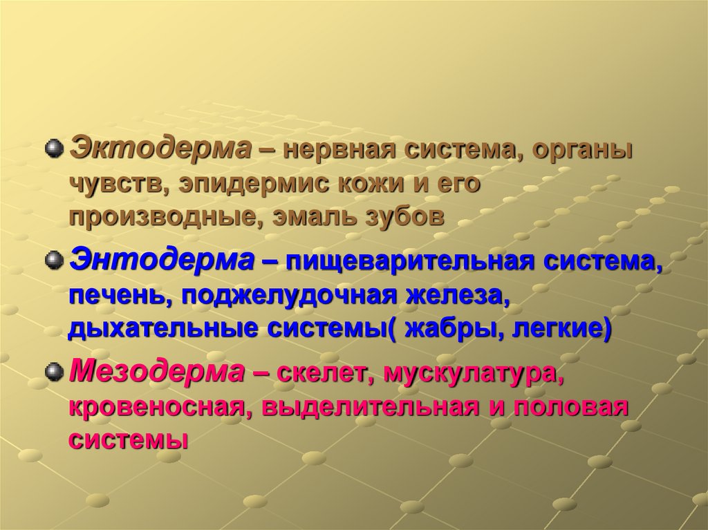 Эктодерма это. Эктодерма это кратко. Эктодерма кожа. Эктодерма нервная система. Эктодерма это в биологии.