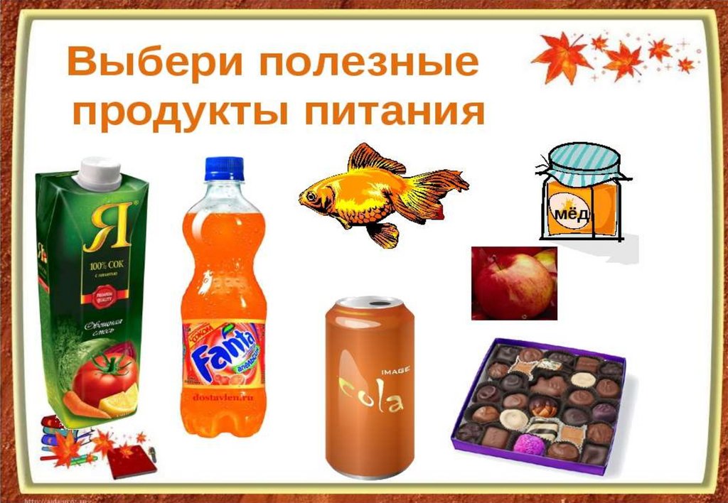 Сохранение продуктов питания проект