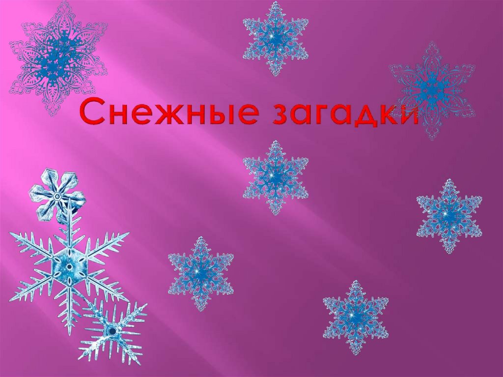 Снежные загадки
