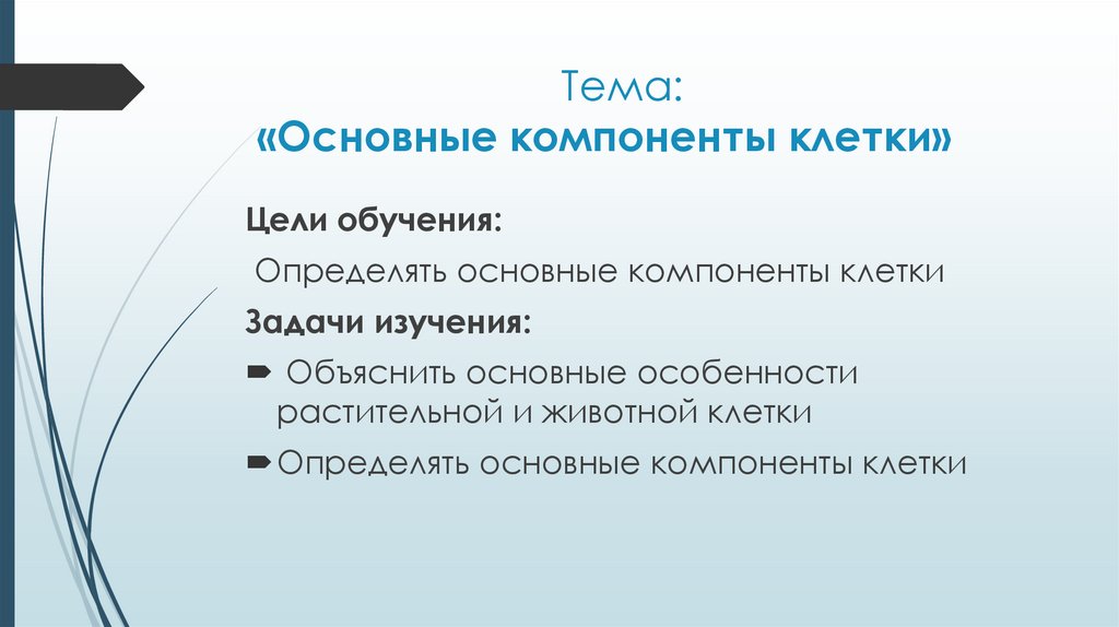 Основные компоненты клетки. Назовите основные компоненты клетки. Основные элементы клетки. Назвать компоненты клетки.