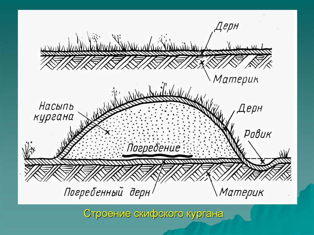 Строение скифского кургана