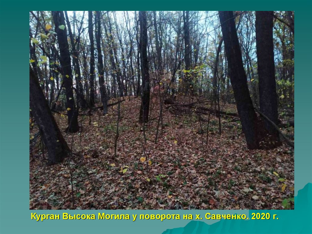 Курган Высока Могила у поворота на х. Савченко. 2020 г.
