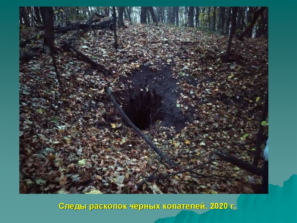 Следы раскопок чёрных копателей. 2020 г.