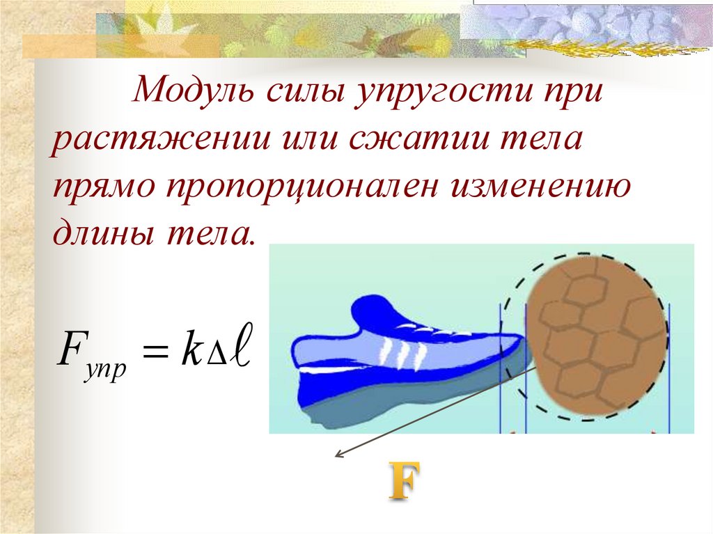 От чего зависит сила упругости. Сила упругости при сжатии и растяжении. Модуль силы упругости. Сила упругости растяжение. Модуль силы упругости при растяжении или сжатии тела.