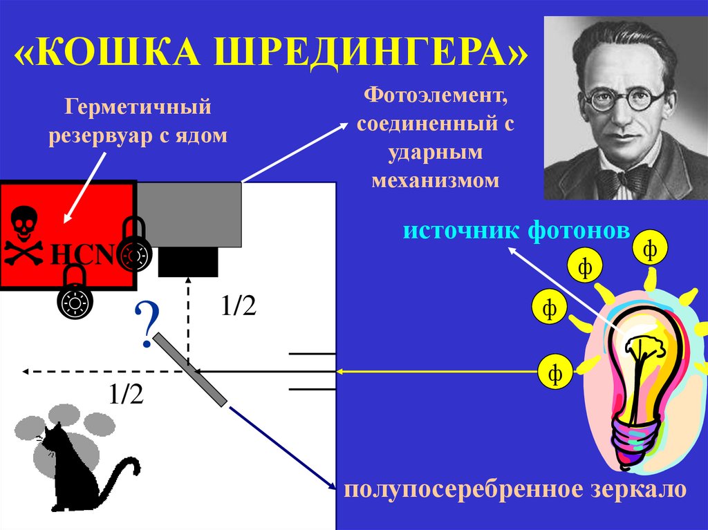 «КОШКА ШРЕДИНГЕРА»