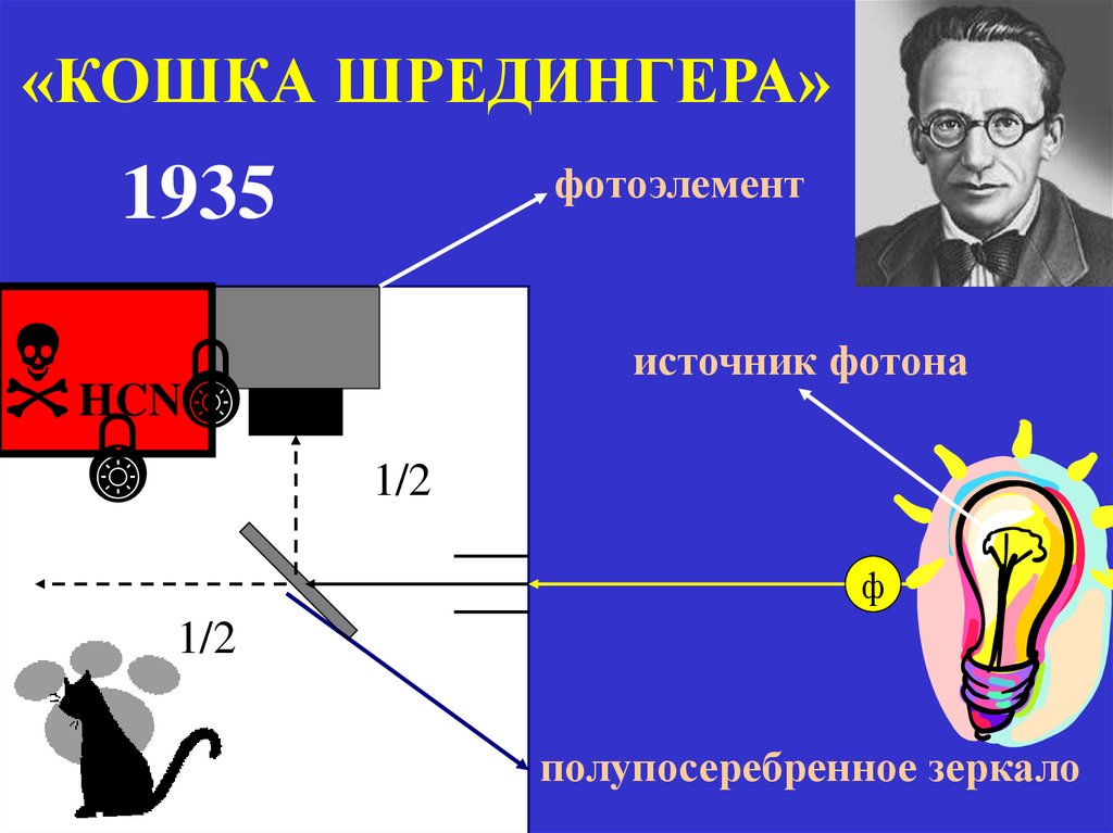 «КОШКА ШРЕДИНГЕРА»