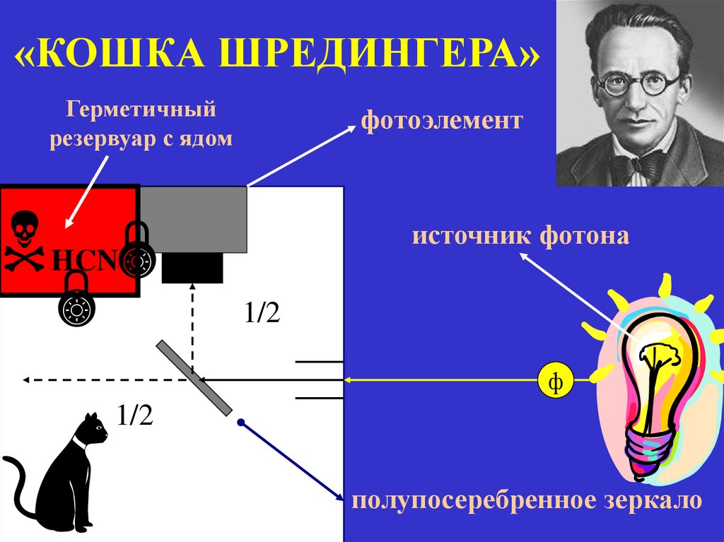 «КОШКА ШРЕДИНГЕРА»