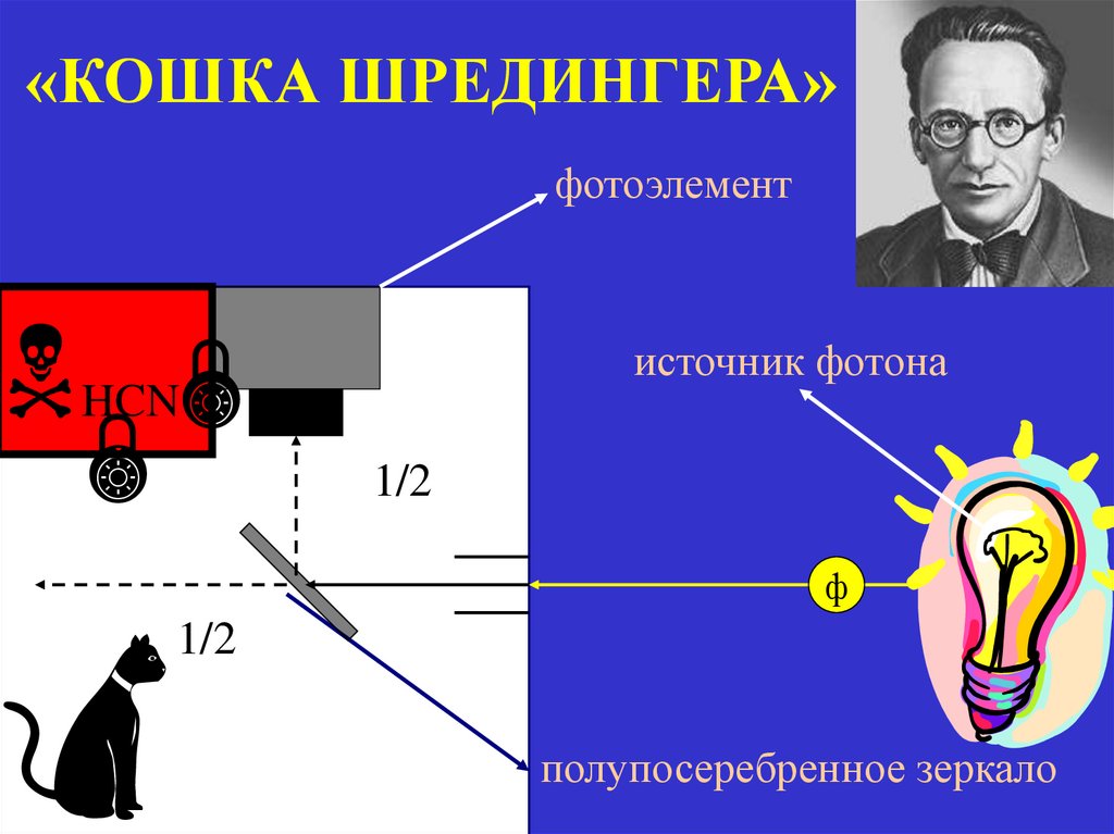 «КОШКА ШРЕДИНГЕРА»