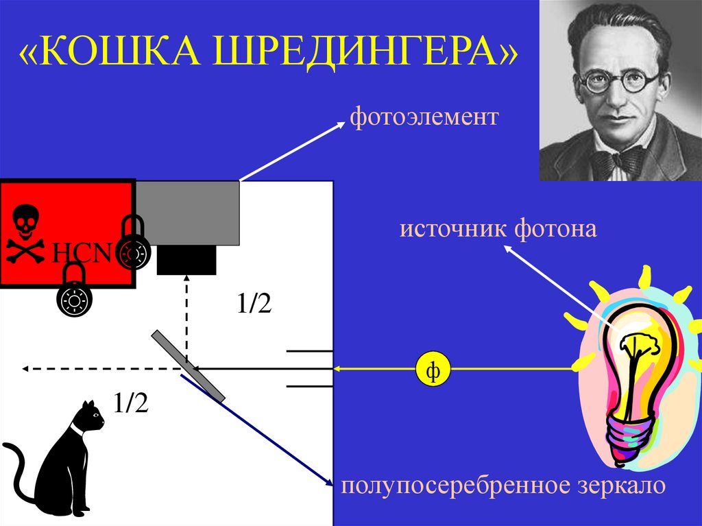 «КОШКА ШРЕДИНГЕРА»