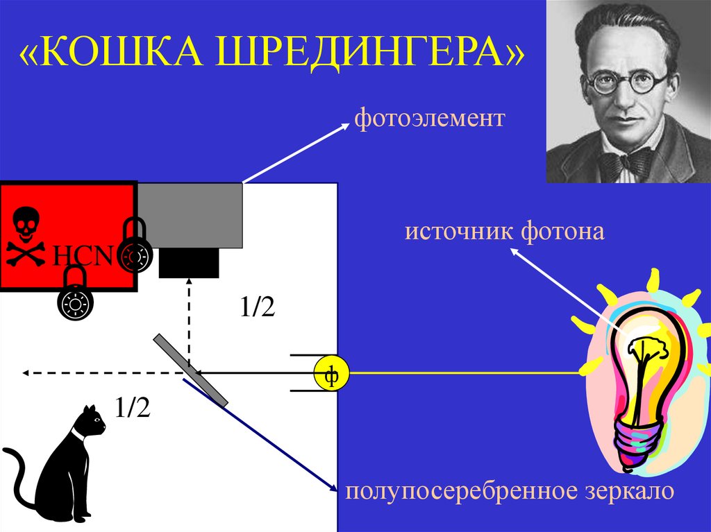 «КОШКА ШРЕДИНГЕРА»