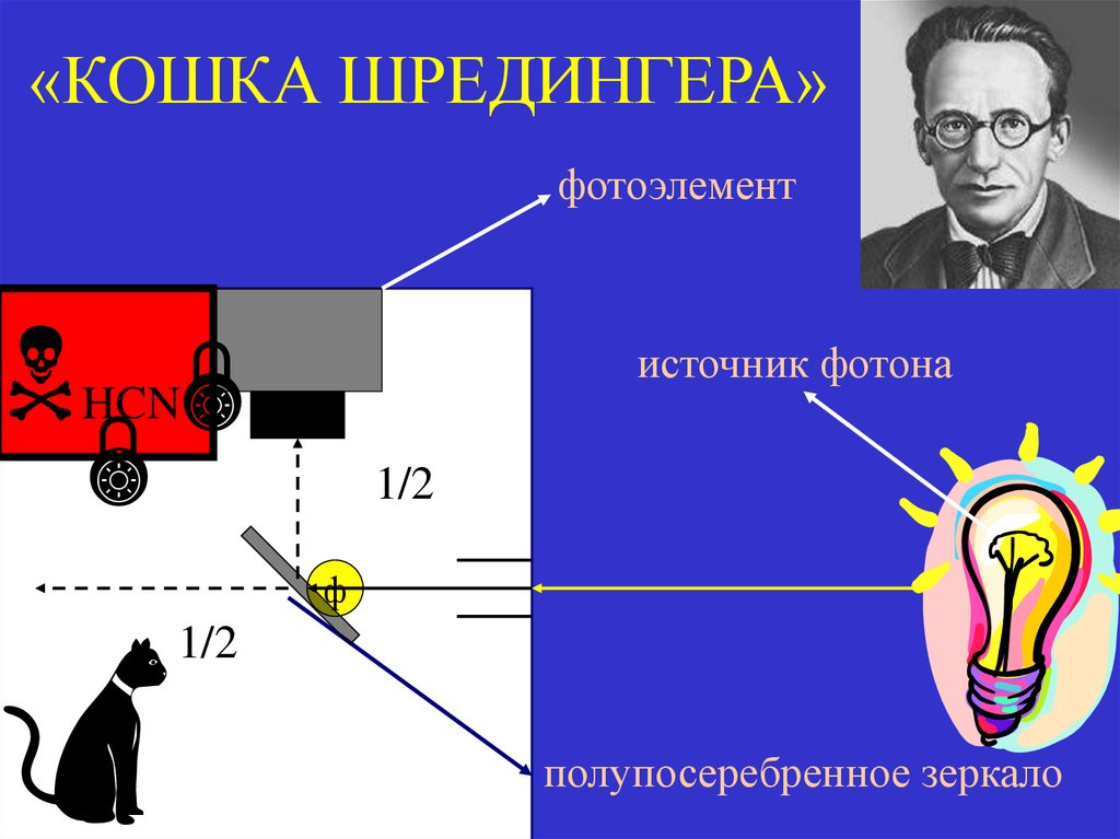 «КОШКА ШРЕДИНГЕРА»