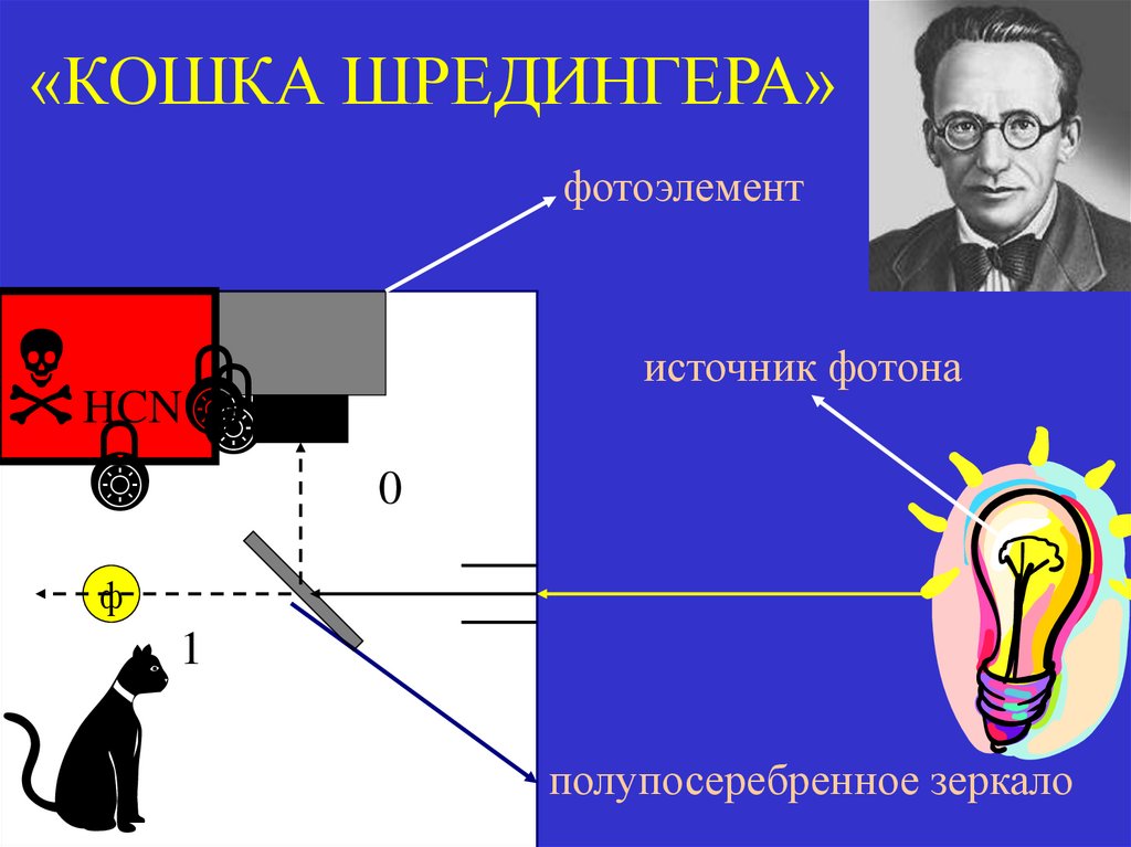 «КОШКА ШРЕДИНГЕРА»