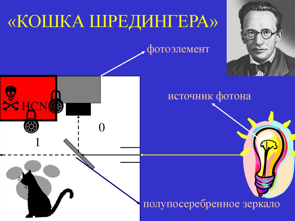 «КОШКА ШРЕДИНГЕРА»