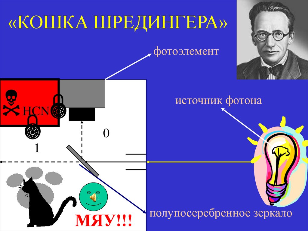 «КОШКА ШРЕДИНГЕРА»